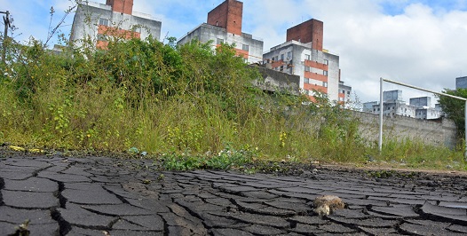 Embasa é notificada por crime ambiental